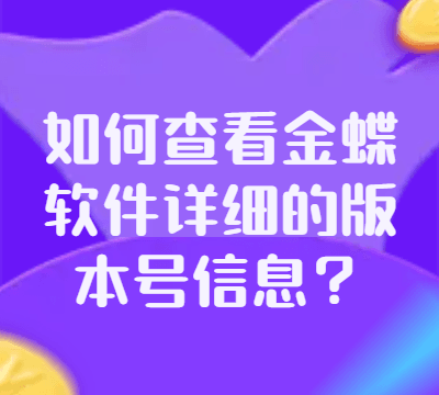 如何查看金蝶软件详细的版本号信息？