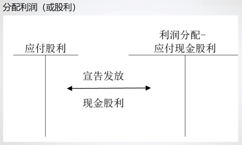 分配利润说明表