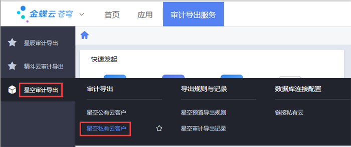 金蝶云星空审计导出服务项 金蝶云星空审计导出服务项