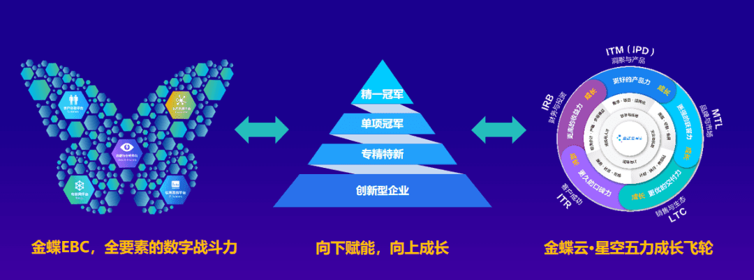 东北财经大学MBA校友专访，分享企业数字化转型心得